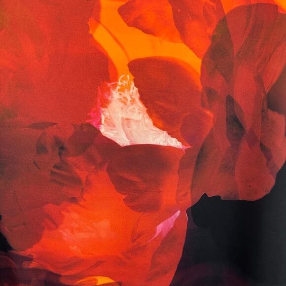 White Fox Boutique Sweet Salutations Maxi Skirt Ember Red & Black Floral Size  M - Picture 8 of 12